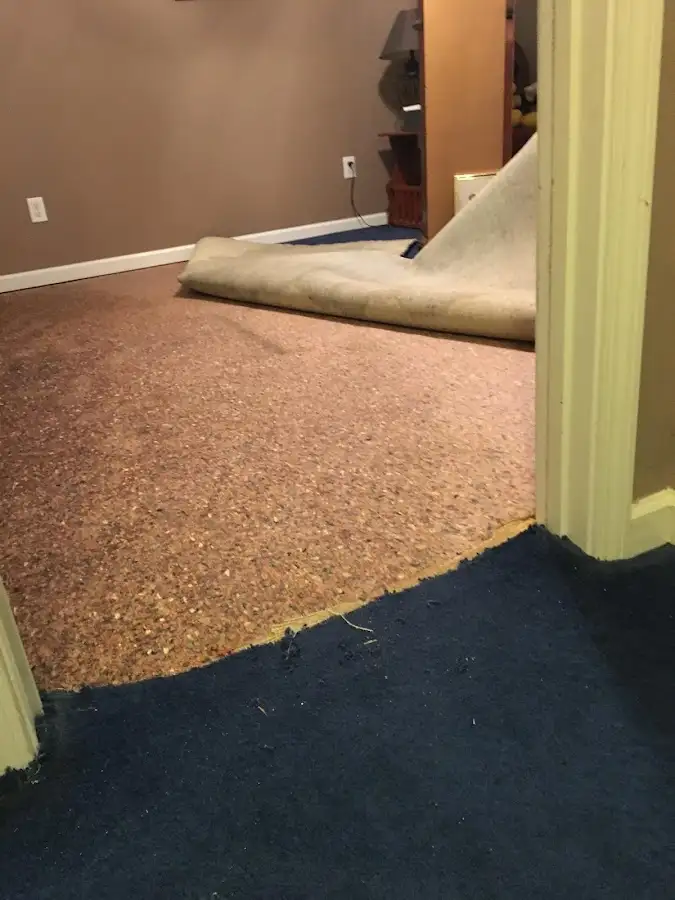 Carpet pad removal revealing water damage during Drying & Dehumidification in Plumas Lake