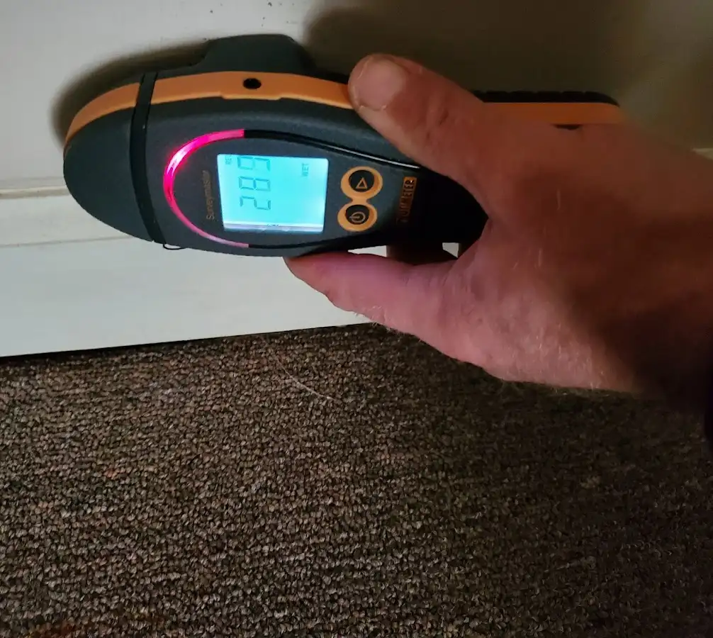 Moisture detection at baseboard during Sewage Cleanup & Sanitation in Plumas Lake